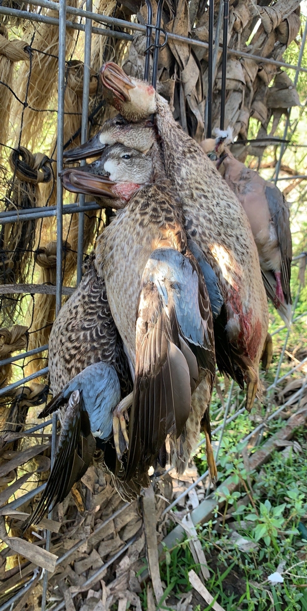 2024 Waterfowl Hunts